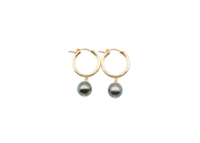 Tahitian Pearl Huggy Hoops